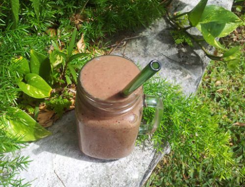 JL Fields’ Avo-Cherry Milkshake