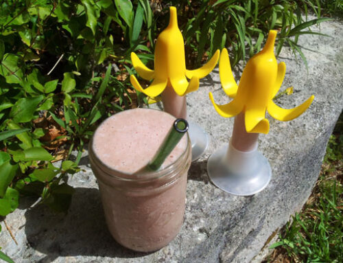 Michelle’s Straw-nana Shake